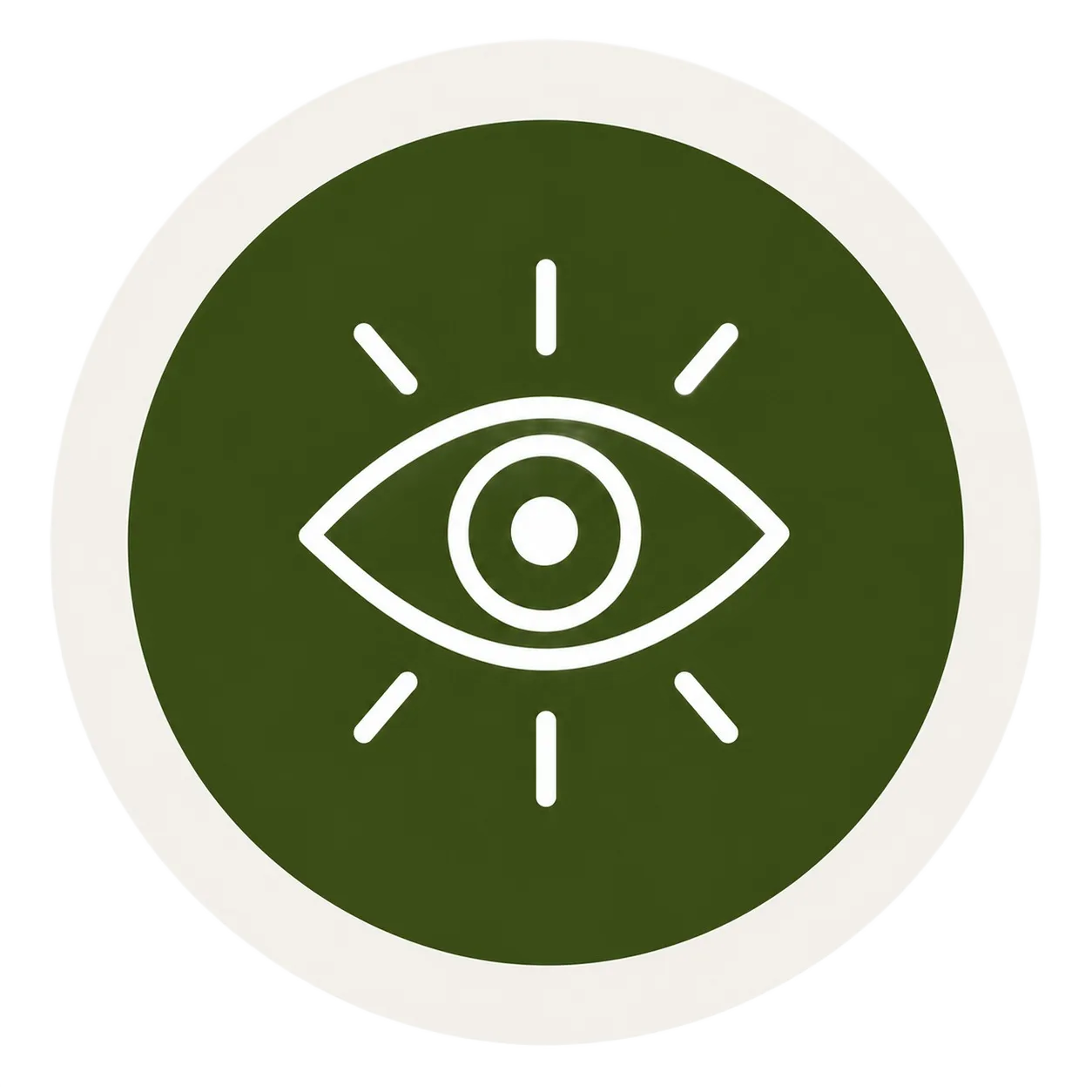 vision icon